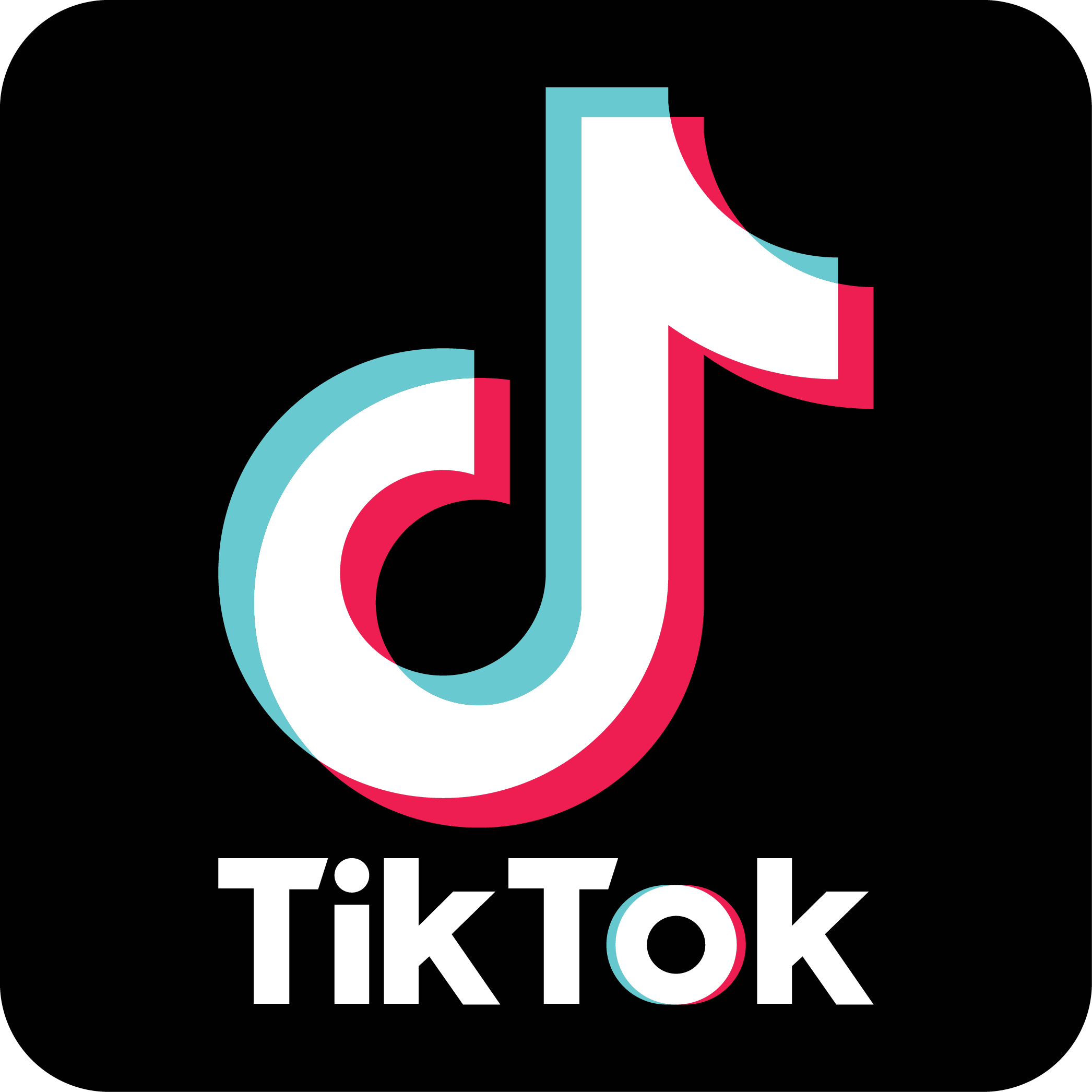 Icono tiktok